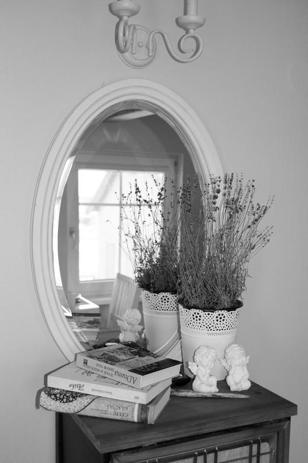 Skruzdynes Apartamentai Nido Extérieur photo